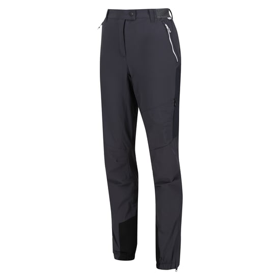 Regatta Womens/Ladies Mountain III Hiking Trousers (Seal Grey)
