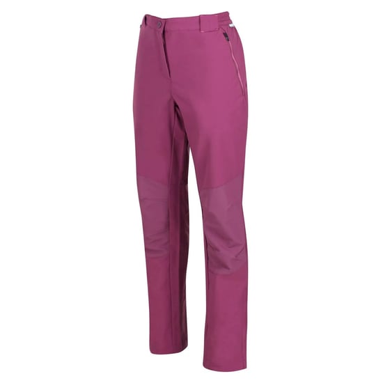 Regatta Womens/Ladies Questra IV Stretch Hiking Trousers (Amaranth Haze)