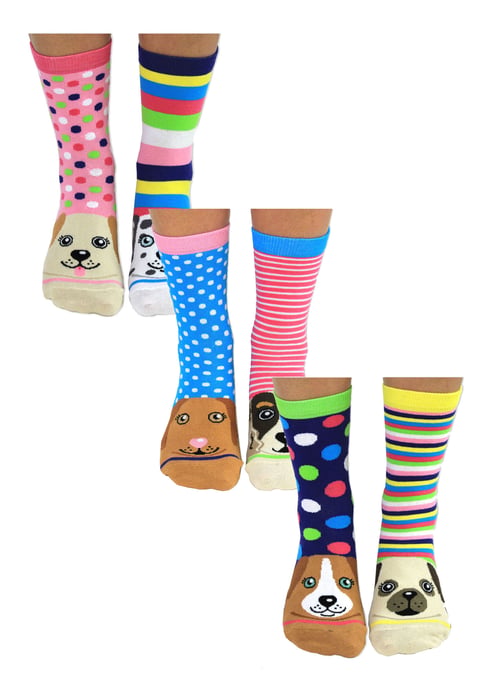 UNITED ODD SOCKS - 6 Pack Damen Welpe Hund Neuheit Baumwolle ungerade Socken in Geschenk-Box - Paws - Image 1
