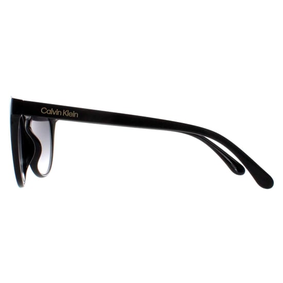 Calvin Klein Cat Eye Womens Shiny Black Grey Gradient CK22552S