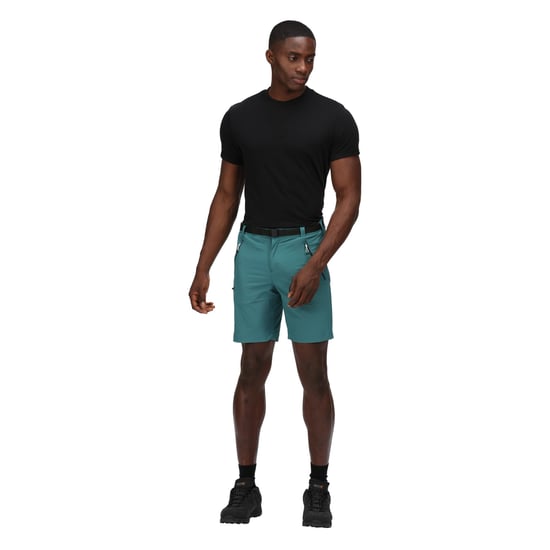 Regatta - "Xert III" Shorts für Herren (Pazifikgrün) - Image 6
