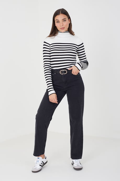 Ivory 'Bardi' Stripe Rib Turtleneck Jumper