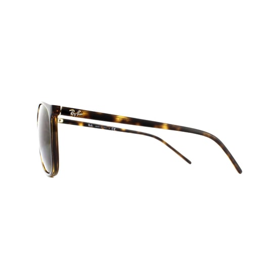 Ray-Ban Sunglasses RB4387 710/73 Tortoiseshell Brown