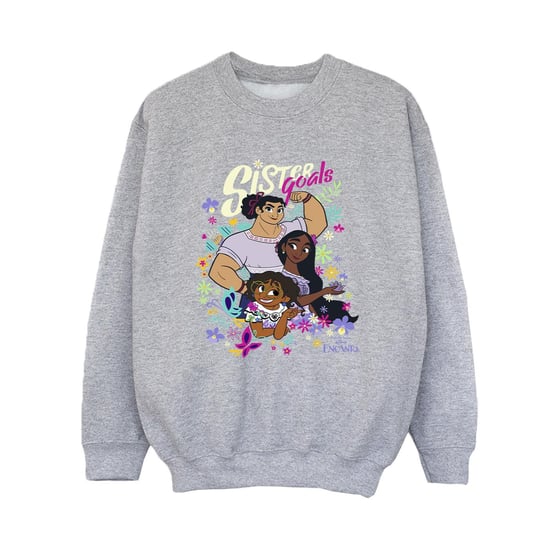Disney Boys Encanto Sister Goals Sweatshirt (Sports Grey)