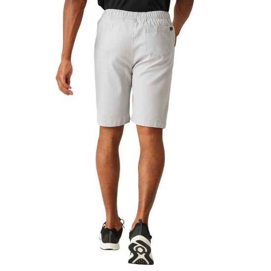 Regatta - "Aldan" Shorts für Herren (Silbergrau) - Image 5
