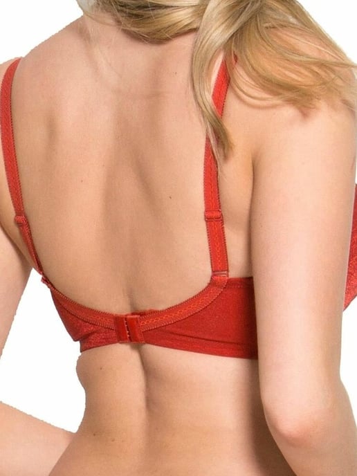 Glossies Sheer Plunge Bra
