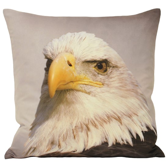 Animal Eagle 45X45 Poly-Kissen - Image 1