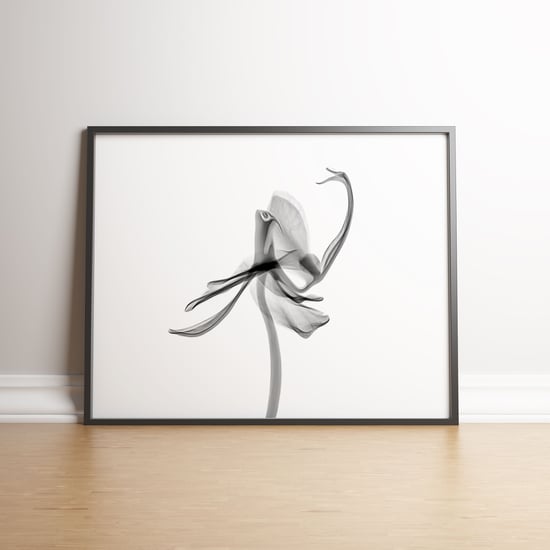 Orchid Flower Aquarelle XRay A - Black frame