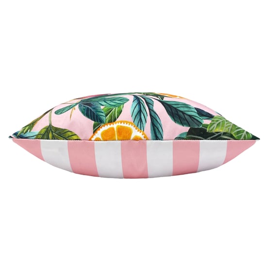 Citrus Outdoor Cushion