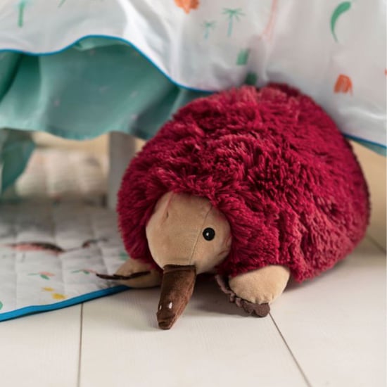 Eddy Echidna Plush Toy