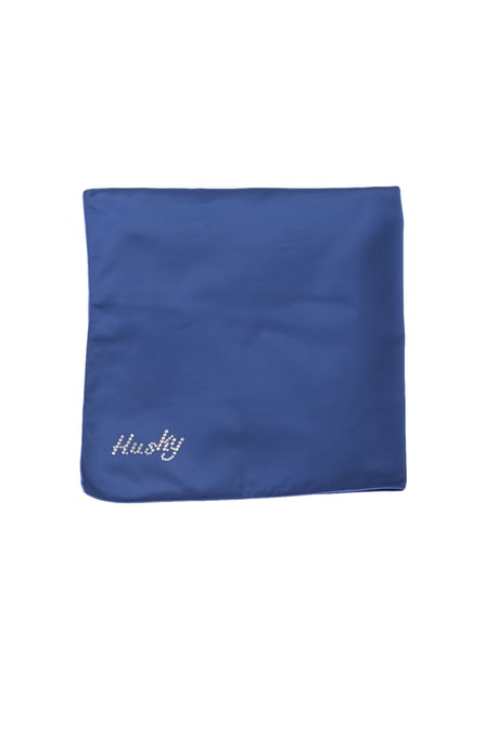 Husky Women's Scarf In Blue