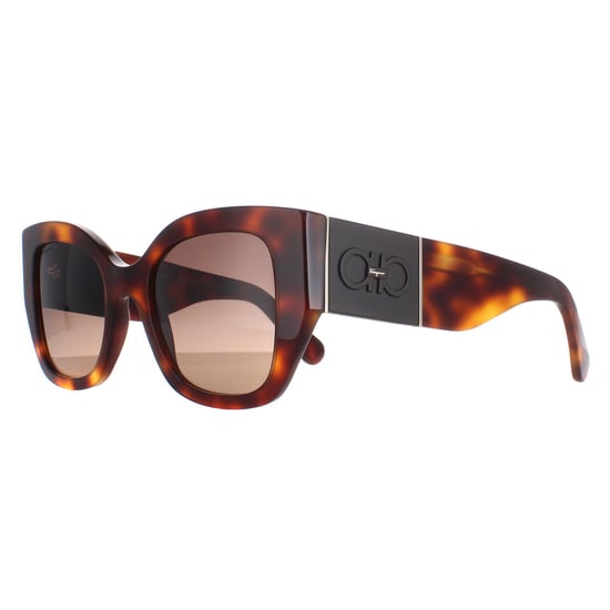 Salvatore Ferragamo Square Womens Classic Tortoise Brown Gradient SF1045S