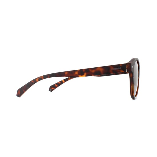 Lunettes De Soleil Polaroid 6042/S 086 SP Sombre Havana Bronze Polarisé - Image 4