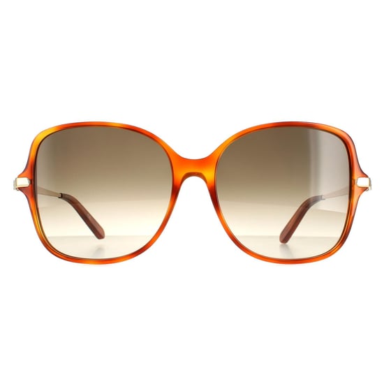 Salvatore Ferragamo Square Damen Schildkröte Grau Gradient SF990SR - Image 1