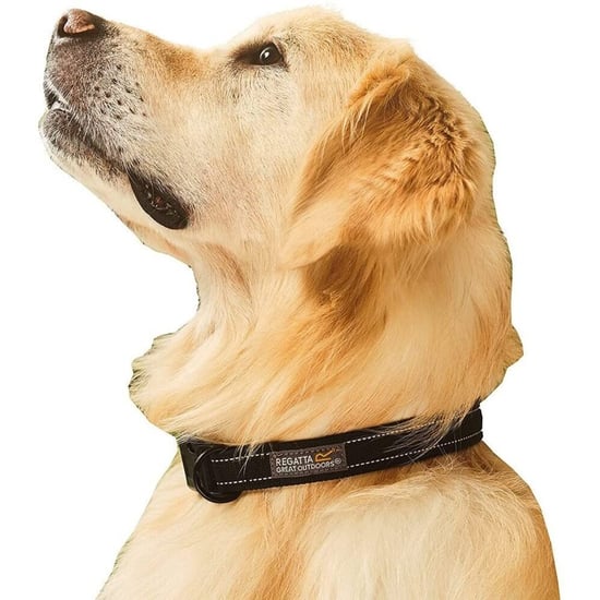 Regatta Premium Dog Collar (Black)
