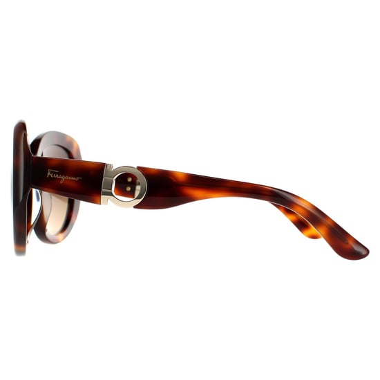 Salvatore Ferragamo Oval Damen Schildkröte Braun Gradient Sonnenbrille - Image 3