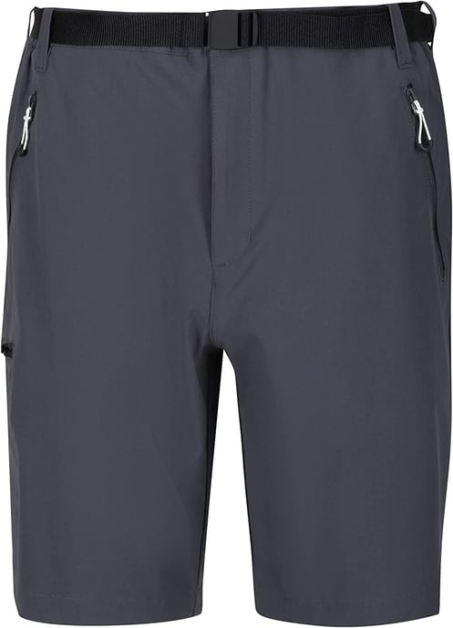 Regatta - "Xert III" Shorts für Herren (Grau) - Image 1