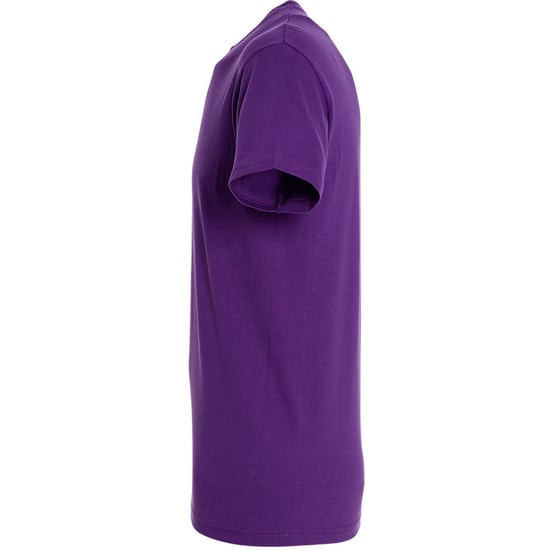 SOLS Mens Regent Short Sleeve T-Shirt (Dark Purple)