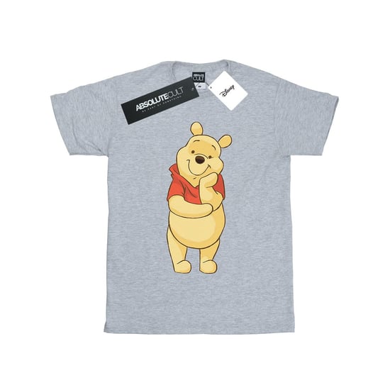 Disney Boys Winnie The Pooh Cute T-Shirt (Sports Grey)