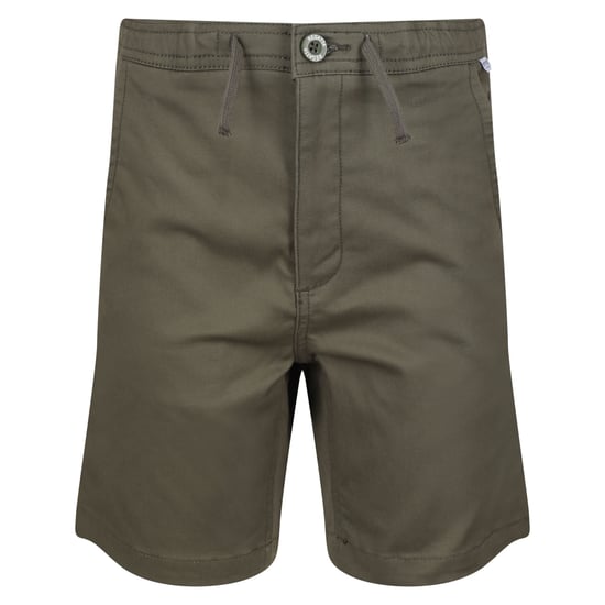 Regatta Childrens/Kids Alber Ottoman Shorts (Grape Leaf)