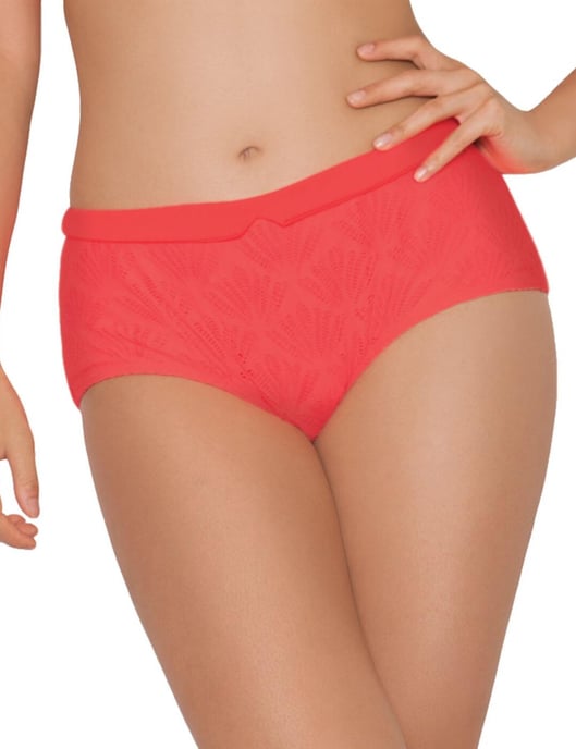 Curvy Kate Siren Bikini Short