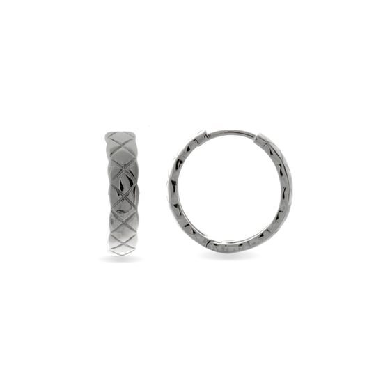 Luxenter rhodium plated earrings - Naz