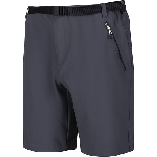 Regatta - "Xert III" Shorts für Herren (Grau) - Image 3