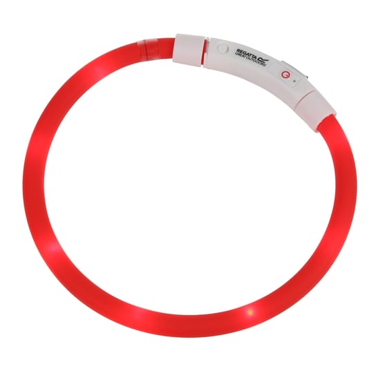 Regatta - LED-Hundehalsband (Rot) - Image 1