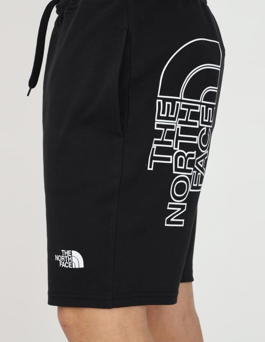 The North Face Herren Grafik Shorts Schwarz - Image 4
