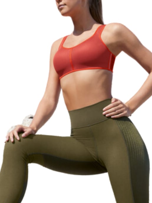 PanAlp Air Sports Bra