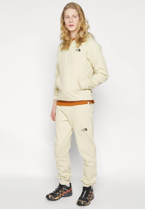 The North Face Mens Reglan Red Box Hoodie in gebleichten Kies - Image 4