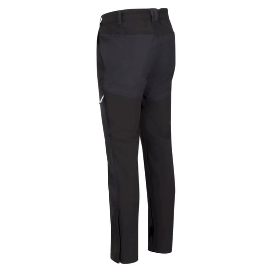 Regatta Mens Questra IV Hiking Trousers (Black)