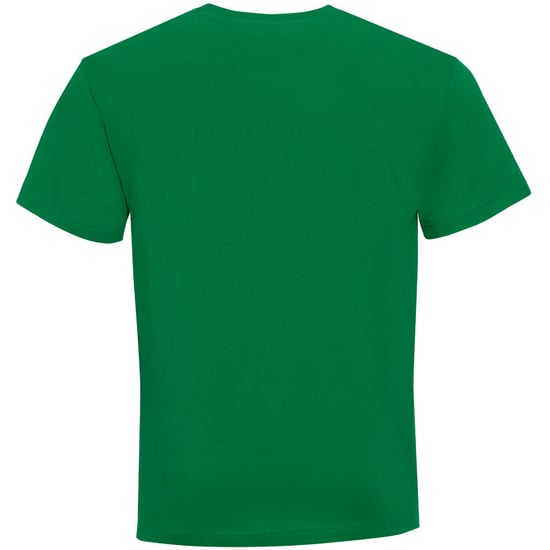 SOLS Herren Victory V-Ausschnitt Kurzarm T-Shirt (Kelly Grün) - Image 2