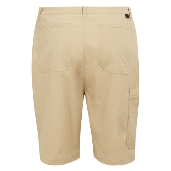 Regatta - "Dalry" Shorts für Herren (Hafer) - Image 2