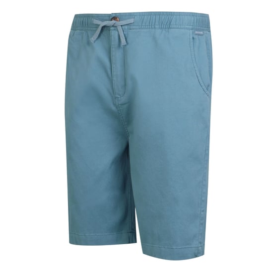 Regatta - "Aldan" Shorts für Herren (Kronenblau) - Image 3