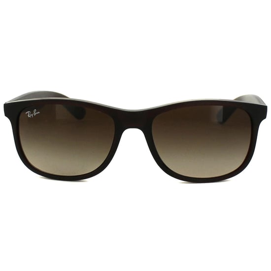 Ray-Ban Sunglasses Andy 4202 607313 Matt Brown Brown Gradient