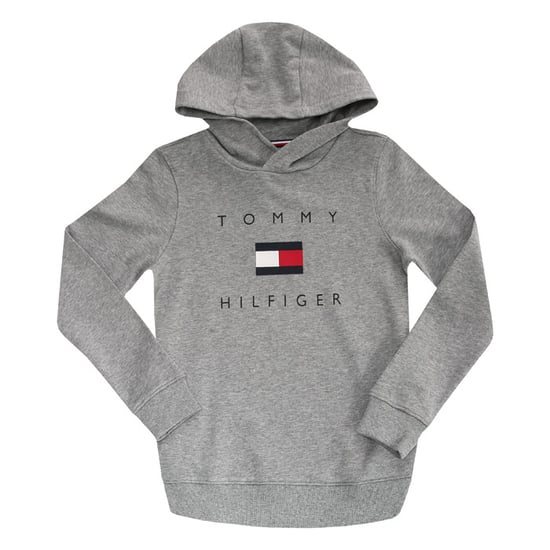 Boy's Tommy Hilfiger Infant Chest Logo Hoody in Grey Heather