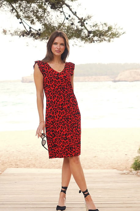 Red & Black Animal Print Frill Sleeve Shift Dress