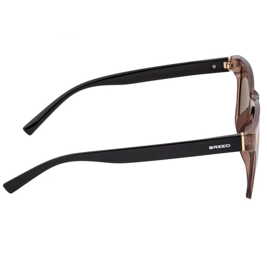 Breed Pictor Polarized Sunglasses