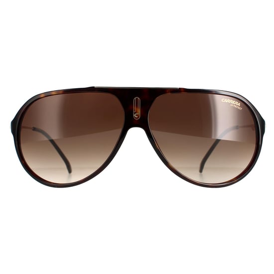 Carrera Aviator Mens Dark Havana Brown Gradient Hot65