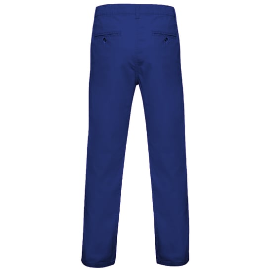 Asquith & Fox Mens Classic Casual Chinos/Trousers (Royal)