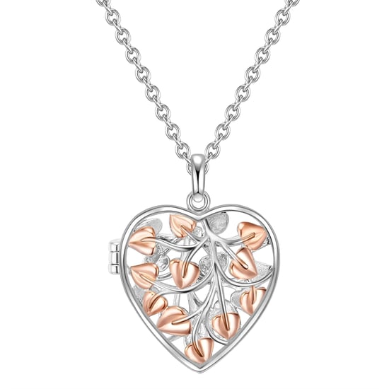 Necklace with pendant sterling silver bicolor Rafaela Donata - Image 1