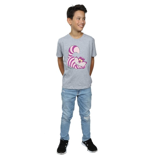 Disney Boys Alice In Wonderland Cheshire Cat T-Shirt (Sports Grey)