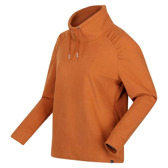 Regatta Womens/Ladies Abbilissa Slouch Jumper (Copper Almond)