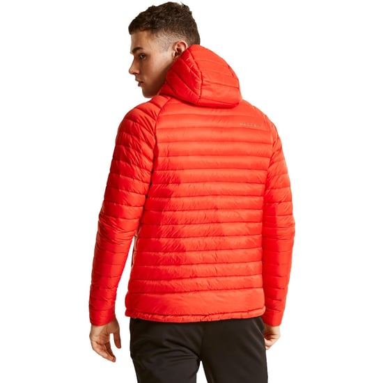 Dare 2b Mens Phasedown Water Repellant Hooded Nylon Down Jacket Top