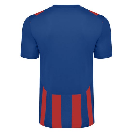 Umbro Childrens/Kids Ramone Jersey (Royal Blue/Vermillion)