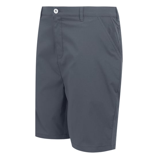 Regatta - "Dalry" Shorts für Herren (Mittelgrau) - Image 3