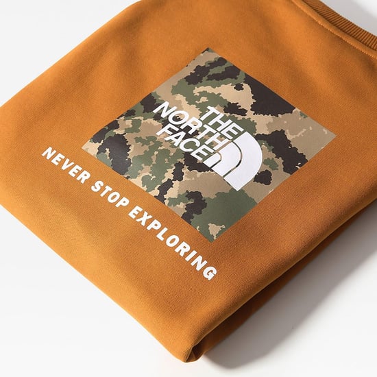 The North Face Raglan zurück Box Mens Crewneck Sweatshirt Tan - Image 6