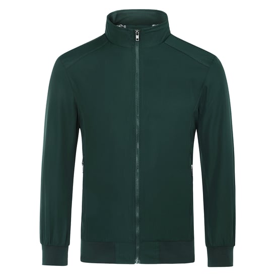Heren Bomberjack met opstaande kraag, overgangsjack voor de herfst, casual sportjack groen - Image 1