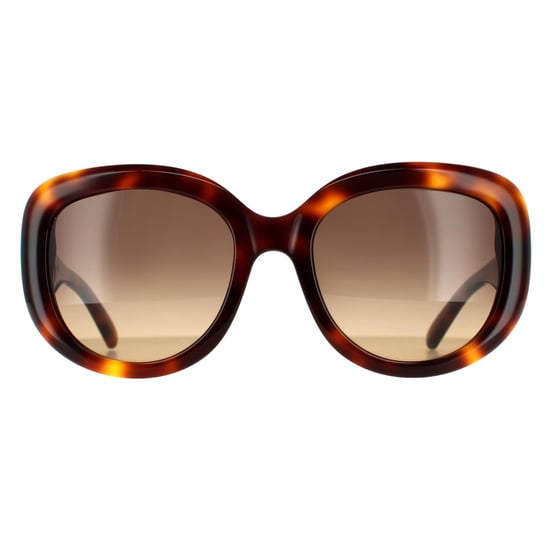 Salvatore Ferragamo Oval Damen Schildkröte Braun Gradient Sonnenbrille - Image 1